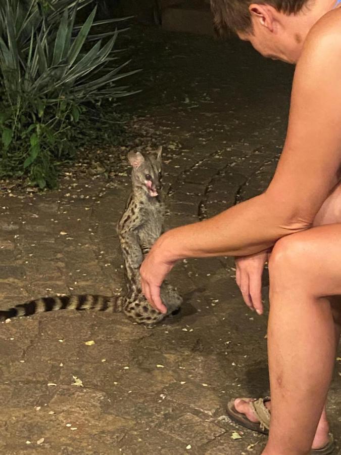 Kiburi Cottage @ Kruger Marloth Park Εξωτερικό φωτογραφία