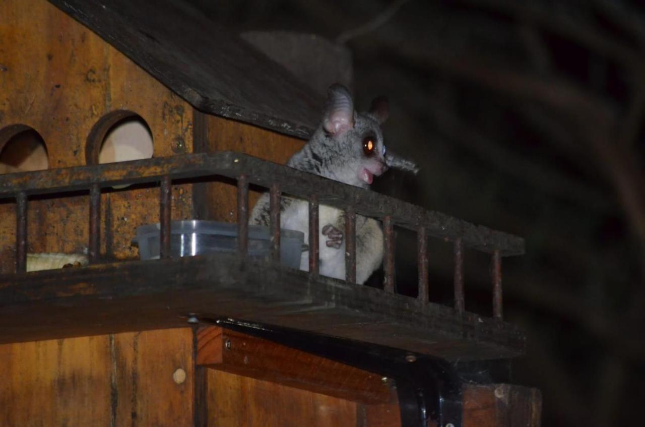 Kiburi Cottage @ Kruger Marloth Park Εξωτερικό φωτογραφία